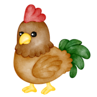 acquerello animale pollo png