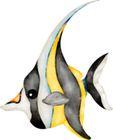 vattenfärg hav djur- moorish idol png