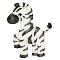 vattenfärg djur- zebra png