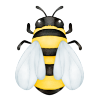 watercolor animal bee png