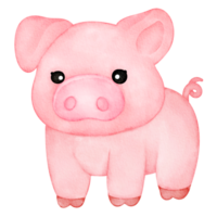 aquarelle animal porc png