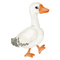 waterverf dier gans png