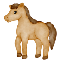 aquarelle animal cheval png