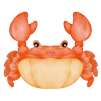 waterverf dier krab png