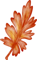 Aquarell Herbst Blätter Clip Kunst png