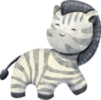 vattenfärg djur- zebra png