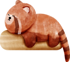 watercolor animal red panda png