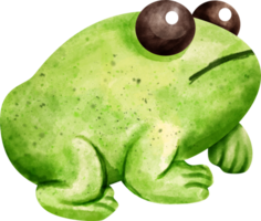 watercolor animal frog png