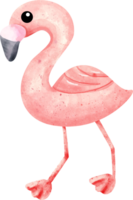 vattenfärg djur- flamingo png