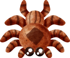 aquarelle animal araignée png