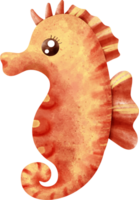 watercolor sea seahorse png