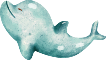 Aquarell Meer Delfin png