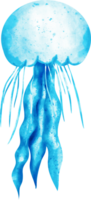acquerello mare Medusa png