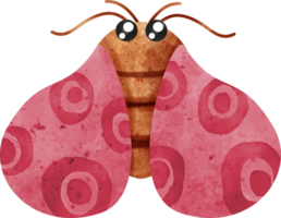 watercolor insect moth png