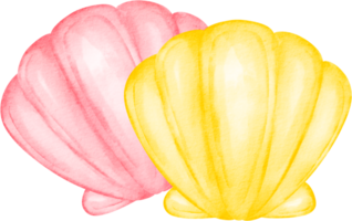 watercolor shell clip art png