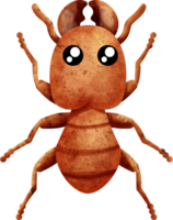 Aquarell Insekt Termite png