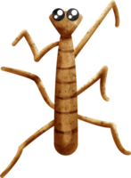 watercolor insect stick bug png