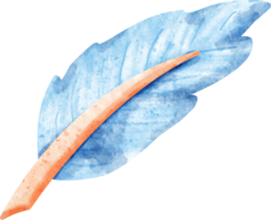 watercolor feather pen png