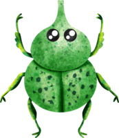 acuarela insecto escarabajo png