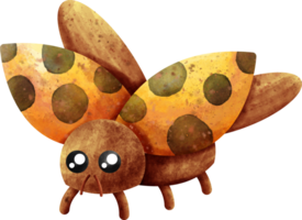 acuarela insecto mariquita png