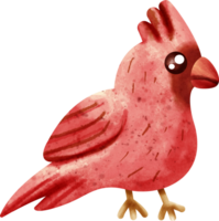 clipart de pássaro em aquarela png