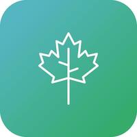 Maple leaf Vector Icon