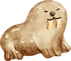 waterverf dier walrus png