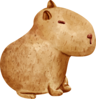 vattenfärg tecknad serie capybara png