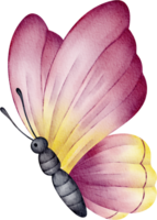 aquarell lila schmetterling png
