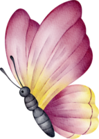 watercolor purple butterfly png