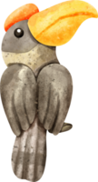 vattenfärg djur- hornbill png