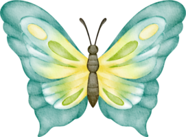 Aquarell Blau Schmetterling Clip Kunst png