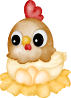 aquarelle ferme poule png