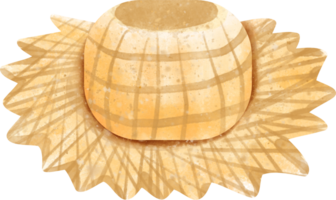 aquarelle été été chapeau png