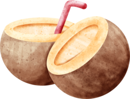 acuarela verano Coco png