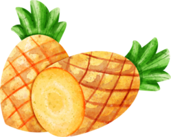 watercolor summer pineapple png