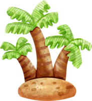 watercolor summer coconut tree png