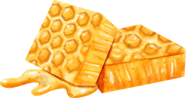 watercolor honeycomb clip art png