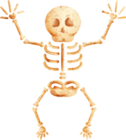 watercolor skeleton clip art png