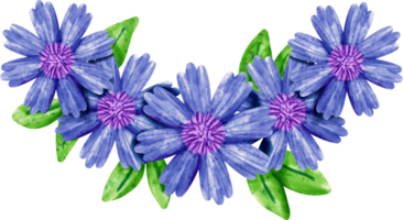 watercolor flower cornflower png