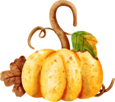 acquerello zucca autunno png