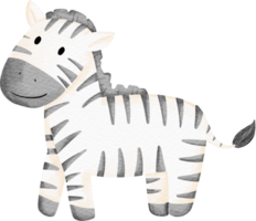 waterverf dier zebra png