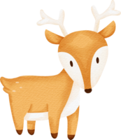 acquerello carino animale cervo png