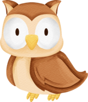 watercolor cute animal Owl png