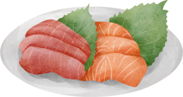 watercolor japanese food Sashimi png