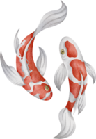 Aquarell japanisch Koi Fisch png