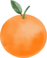 vattenfärg orange frukt png