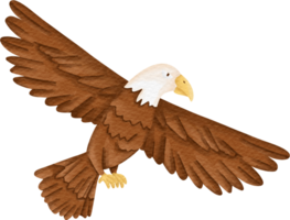 watercolor animal Hawk png