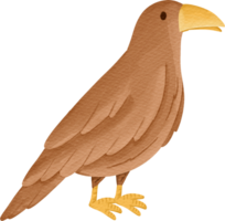 aguarela animal Corvo png