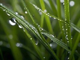AI generated close up detail of green grass with water droplets photo